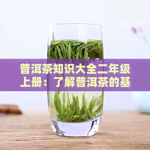 普洱茶知识大全二年级上册：了解普洱茶的基本原理和制作方法