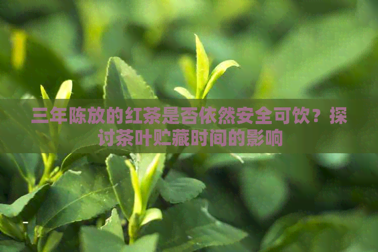 三年陈放的红茶是否依然安全可饮？探讨茶叶贮藏时间的影响