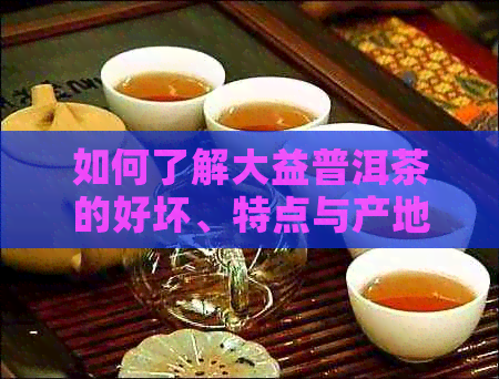 如何了解大益普洱茶的好坏、特点与产地？