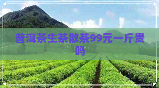 普洱茶生茶散茶99元一斤贵吗