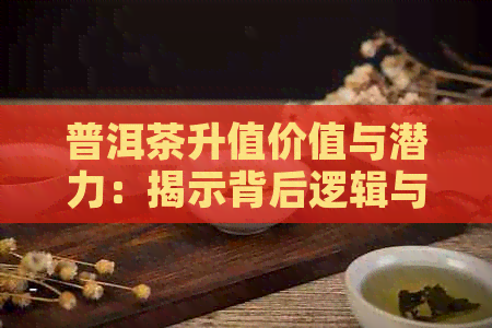 普洱茶升值价值与潜力：揭示背后逻辑与意义