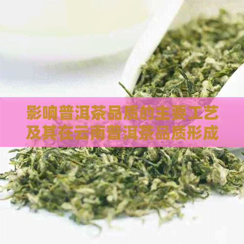 影响普洱茶品质的主要工艺及其在云南普洱茶品质形成中的作用