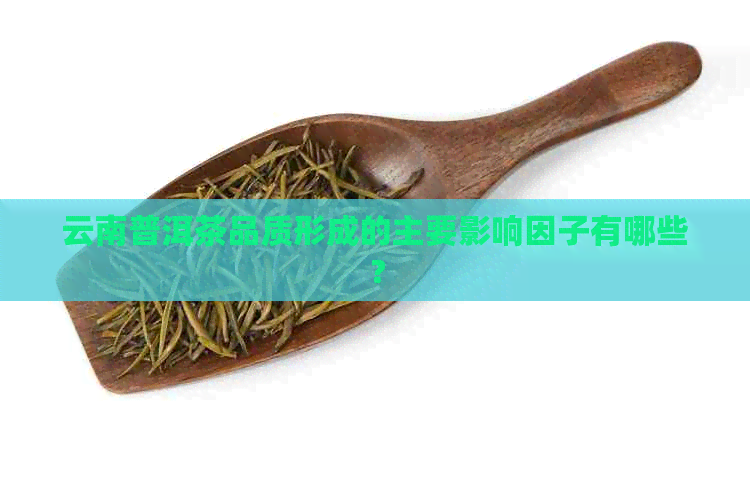 云南普洱茶品质形成的主要影响因子有哪些？