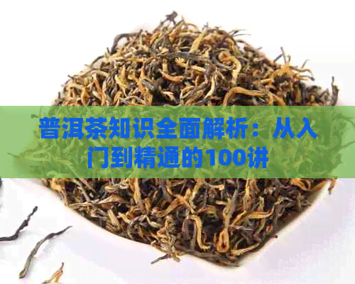 普洱茶知识全面解析：从入门到精通的100讲