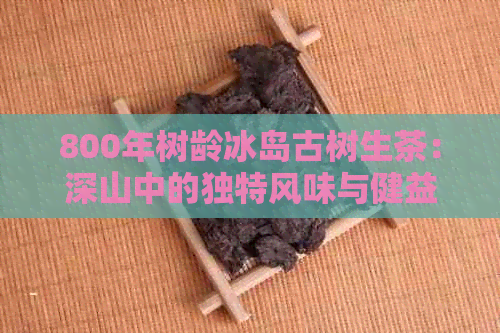 800年树龄冰岛古树生茶：深山中的独特风味与健益处详解