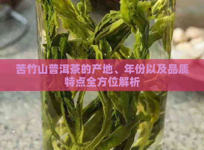 苦竹山普洱茶的产地、年份以及品质特点全方位解析