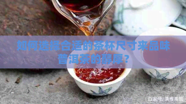 如何选择合适的茶杯尺寸来品味普洱茶的醇厚？