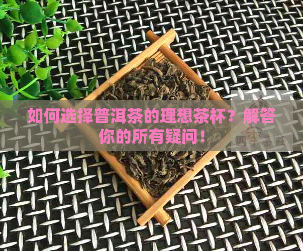 如何选择普洱茶的理想茶杯？解答你的所有疑问！