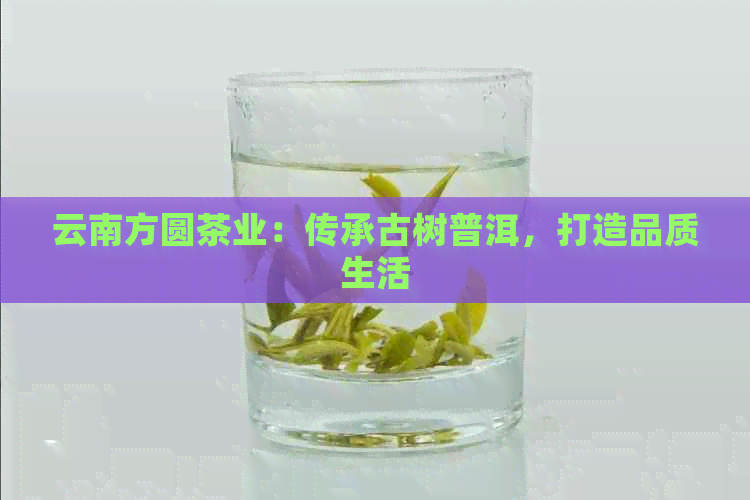 云南方圆茶业：传承古树普洱，打造品质生活