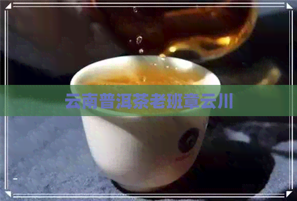 云南普洱茶老班章云川