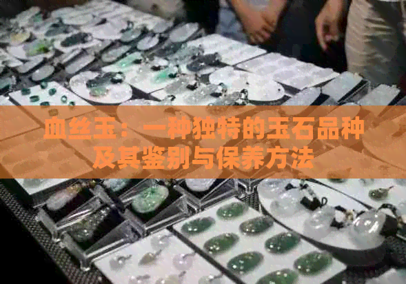 血丝玉：一种独特的玉石品种及其鉴别与保养方法