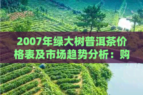 2007年绿大树普洱茶价格表及市场趋势分析：购买时应注意哪些因素？