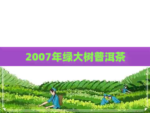 2007年绿大树普洱茶