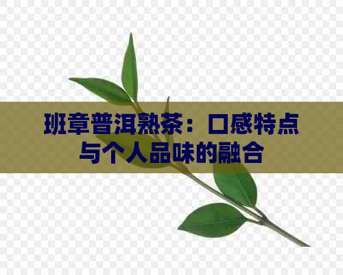 班章普洱熟茶：口感特点与个人品味的融合