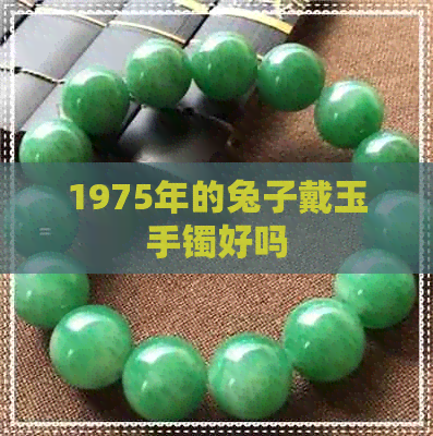 1975年的兔子戴玉手镯好吗