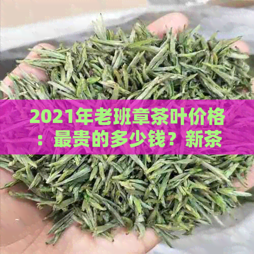 2021年老班章茶叶价格：最贵的多少钱？新茶与茶饼的价格是多少？