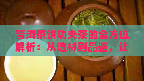 普洱茶饼功夫茶的全方位解析：从选材到品鉴，让你成为茶叶专家