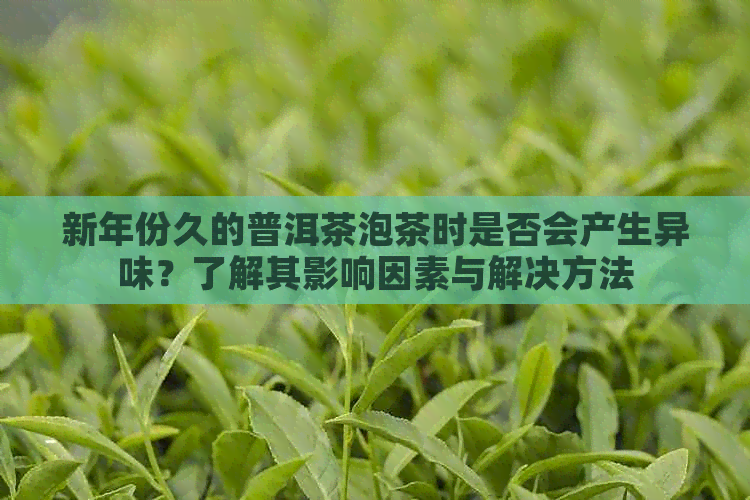 新年份久的普洱茶泡茶时是否会产生异味？了解其影响因素与解决方法