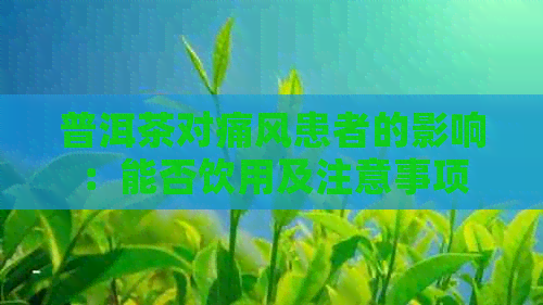 普洱茶对痛风患者的影响：能否饮用及注意事项