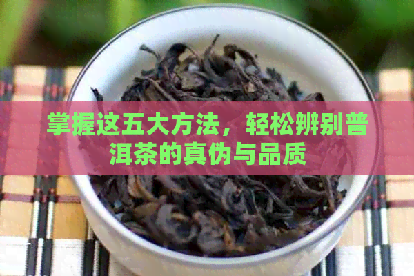 掌握这五大方法，轻松辨别普洱茶的真伪与品质