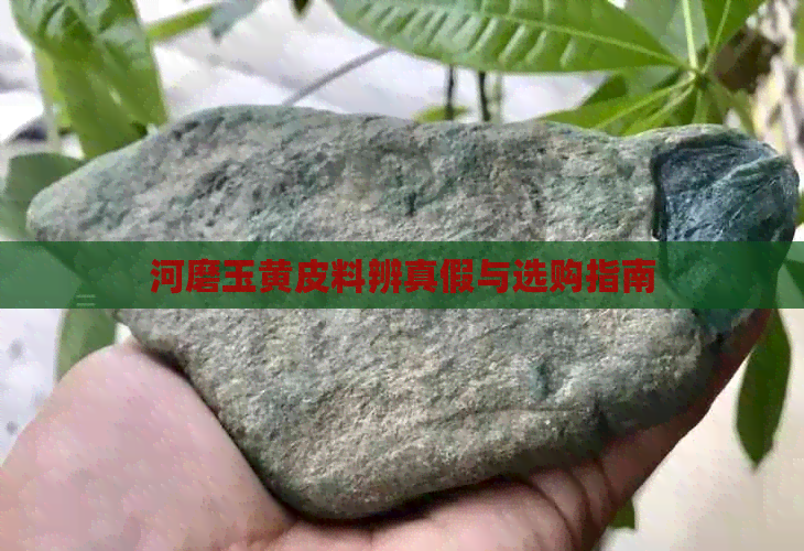 河磨玉黄皮料辨真假与选购指南