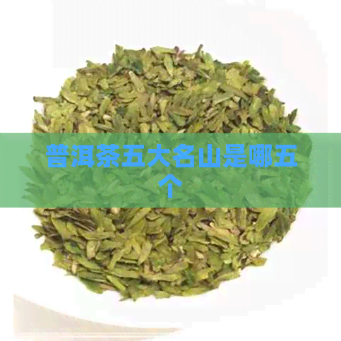 普洱茶五大名山是哪五个