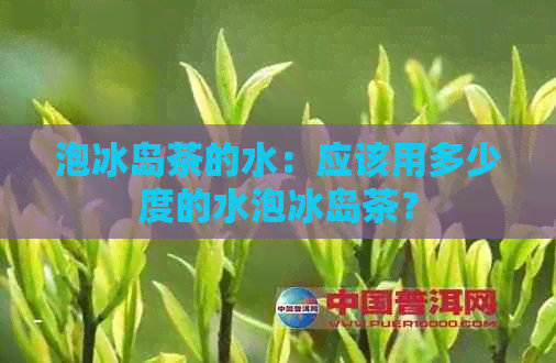 泡冰岛茶的水：应该用多少度的水泡冰岛茶？