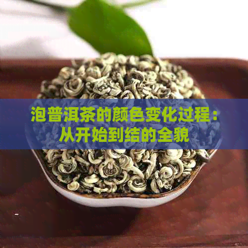 泡普洱茶的颜色变化过程：从开始到结的全貌