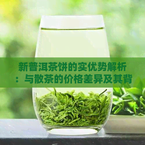 新普洱茶饼的实优势解析：与散茶的价格差异及其背后原因