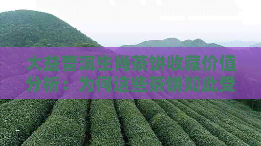 大益普洱生肖茶饼收藏价值分析：为何这些茶饼如此受欢迎并具有投资潜力？