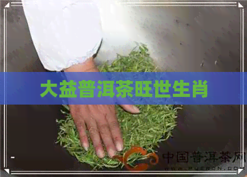 大益普洱茶旺世生肖