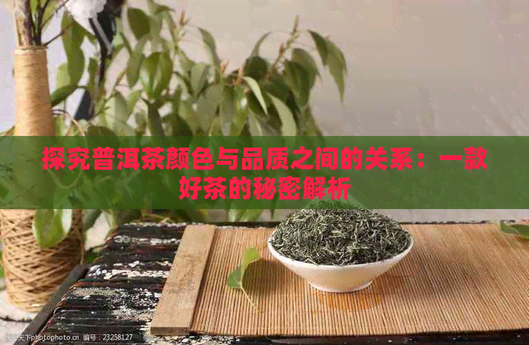 探究普洱茶颜色与品质之间的关系：一款好茶的秘密解析