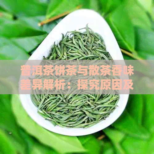 普洱茶饼茶与散茶香味差异解析：探究原因及如何品尝