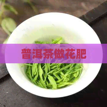 普洱茶做花肥