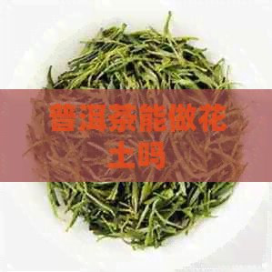 普洱茶能做花土吗