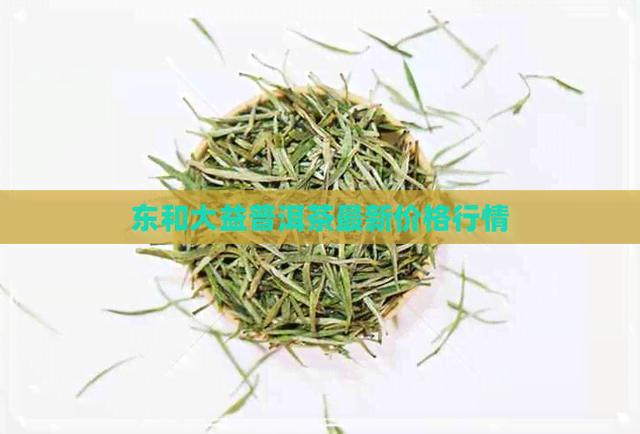 东和大益普洱茶最新价格行情