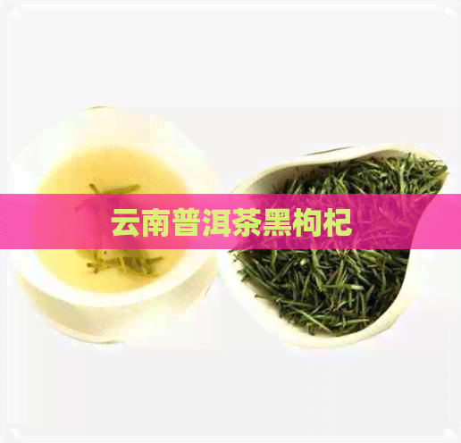 云南普洱茶黑枸杞