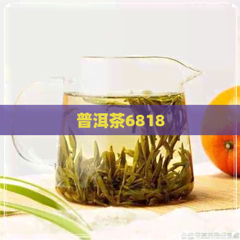 普洱茶6818