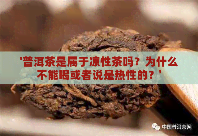 '普洱茶是属于凉性茶吗？为什么不能喝或者说是热性的？'