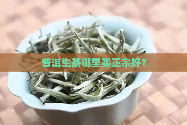 普洱生茶哪里买正宗好？