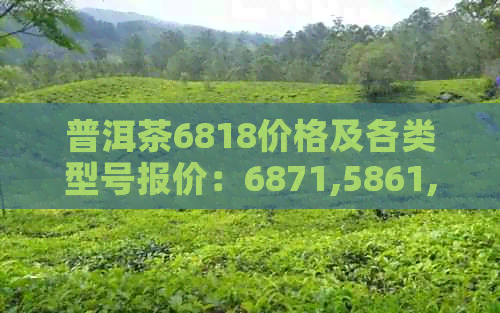 普洱茶6818价格及各类型号报价：6871,5861,8077542,8821