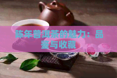 陈年普洱茶的魅力：品鉴与收藏