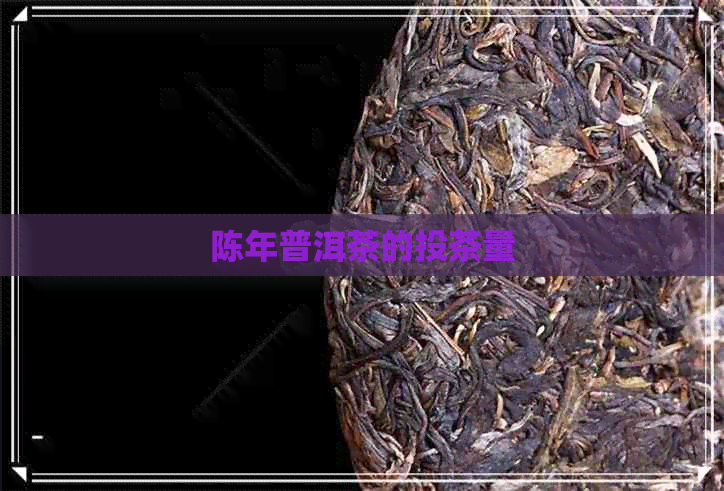 陈年普洱茶的投茶量