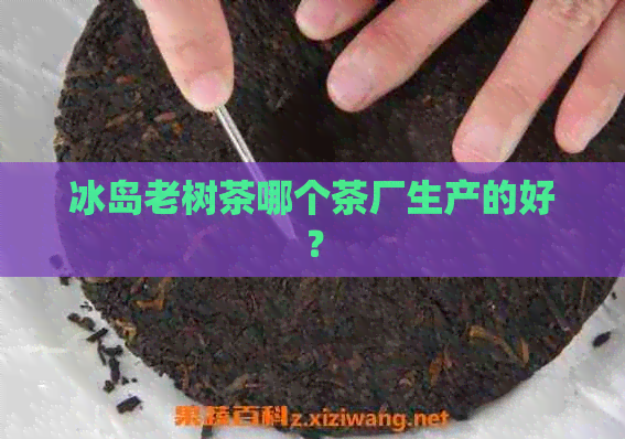 冰岛老树茶哪个茶厂生产的好？