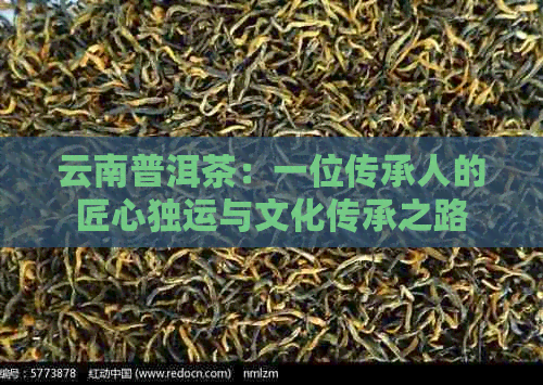 云南普洱茶：一位传承人的匠心独运与文化传承之路