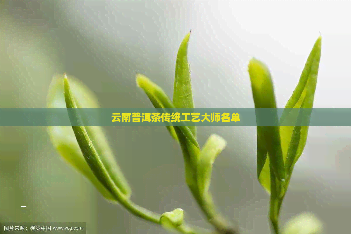 云南普洱茶传统工艺大师名单