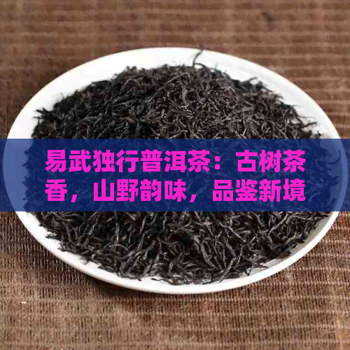 易武独行普洱茶：古树茶香，山野韵味，品鉴新境界