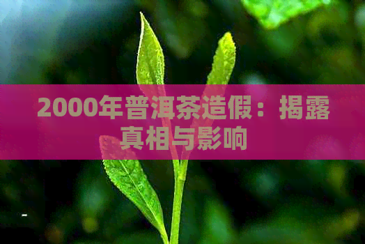 2000年普洱茶造假：揭露真相与影响