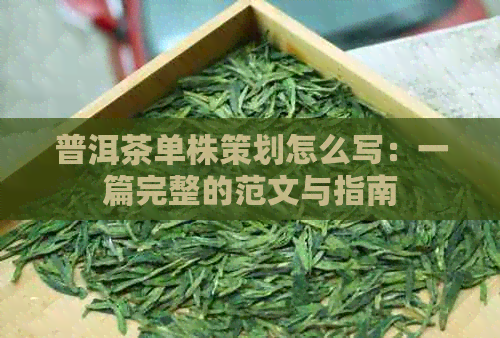 普洱茶单株策划怎么写：一篇完整的范文与指南