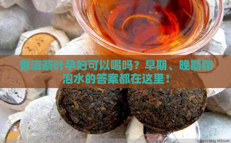 普洱茶叶孕妇可以喝吗？早期、晚期和泡水的答案都在这里！